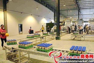 河北光明食品集團臨西縣食用菌工廠化建設項目圓滿竣工，助力現代農業發展